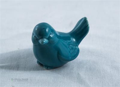 PASSARO AZUL 10X7X7CM para alugar em MACAE/RJ