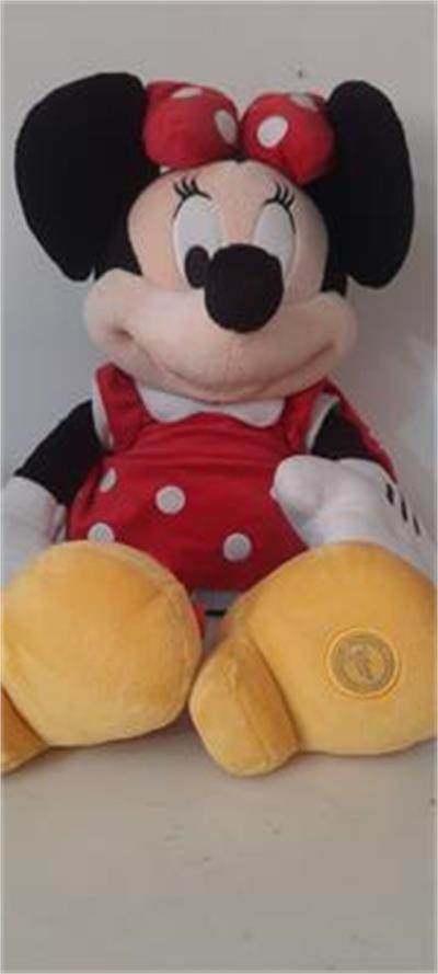 Minie  para alugar em Guaratinguetá/SP