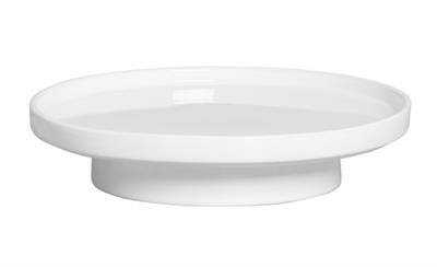 PASSARO BRANCO 13X10 para alugar em MACAE/RJ