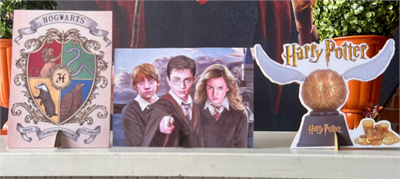 Harry Potter K2 para alugar em São Paulo/SP