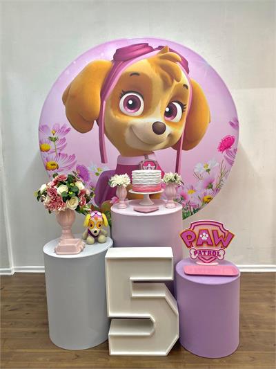 Placa Paw Patrol MDF para alugar em Campinas/SP